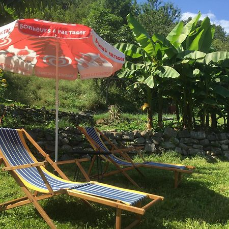 La Auarje: Appartement Avec Jardin & Terrasse Cierp Eksteriør billede